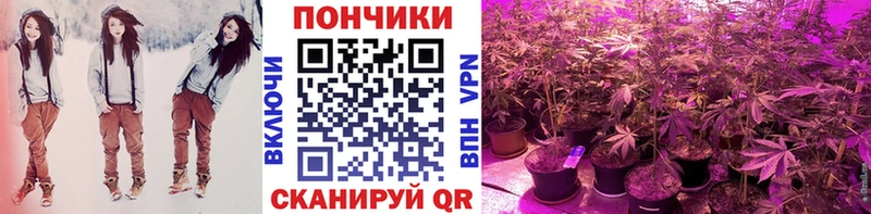 Купить  Рыбное  Бошки Шишки LSD WEED 